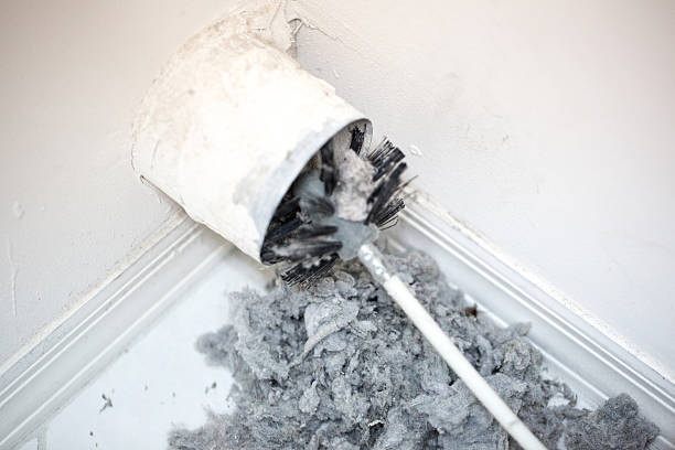 Best Local Air Duct Cleaning Services  in Bonney Lake, WA